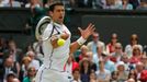 Novak Djokovič na Wimbledonu 2014