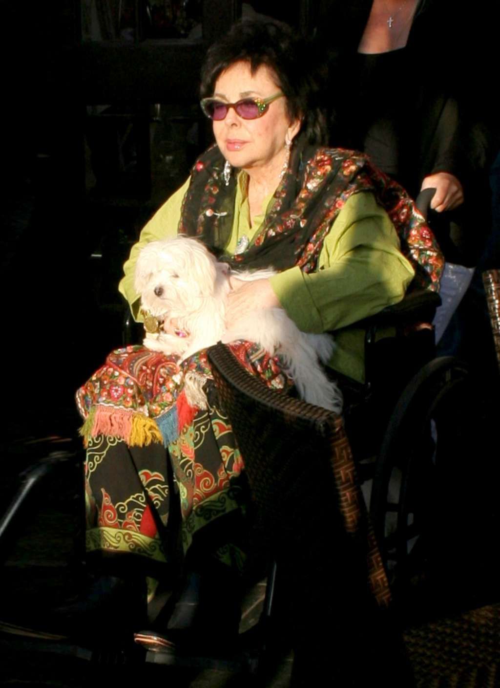 Elizabeth Taylor 2008