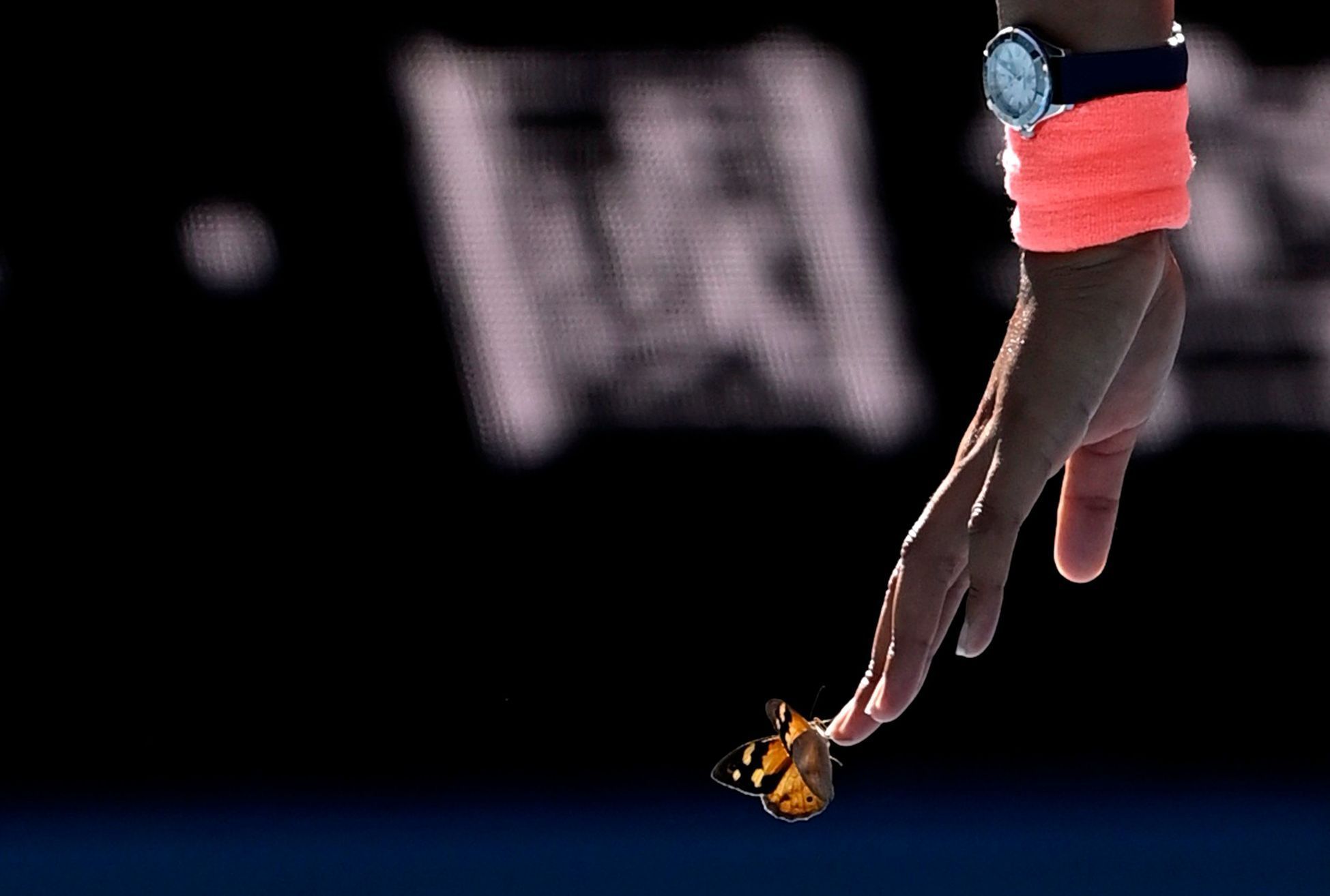 Australian Open 2021, 5. den (Naomi Ósakaová, motýl)
