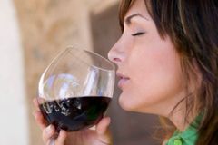 Víno může zdražit, produkce je nejnižší od roku 1975