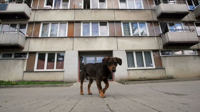 Velké černé ghetto