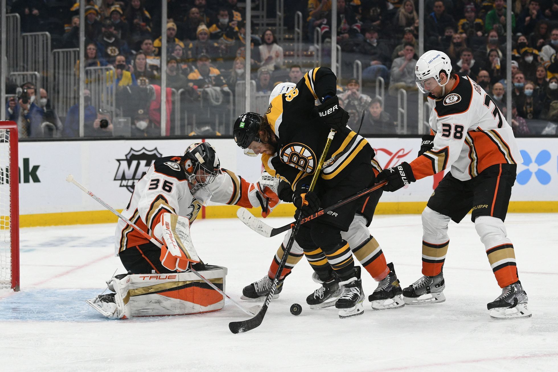 hokej, NHL 2021/2022, Boston Bruins - Anaheim Ducks, David Pastrňák
