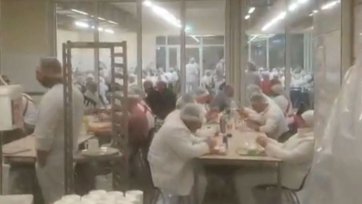 Němci posílají do karantény statisíce lidí. Koronavir se šíří z obřích jatek