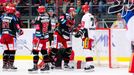 Třinec - Hradec, 4. semifinále play-off hokejové extraligy 2018: David Musil a Radek Smoleňák (vpravo) před brankou Třince