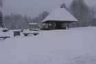Stožec pod sněhem.