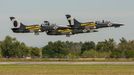 L - 39 - Breitling Jet Team