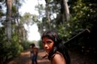 Foto: S luky a šípy, ve válečných barvách. Indiáni brání amazonský prales před těžaři