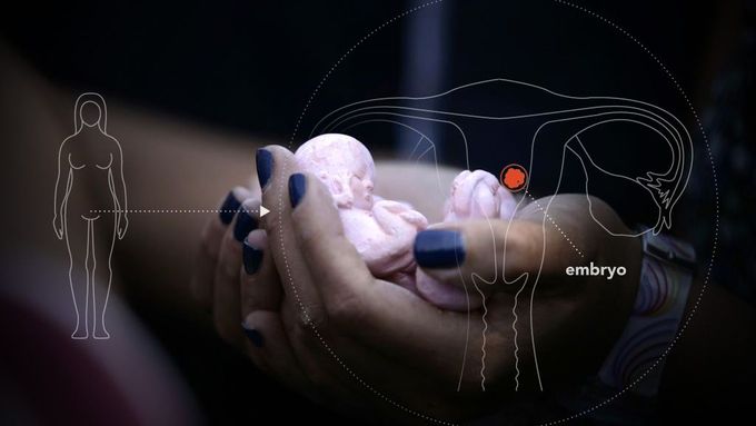 GRAFIKA Nová potratová pilulka znemožňuje výživu plodu