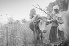 Vesnické výjevy z dávných časů. Unikátní fotky z Bílých Karpat od Ferdinanda Bučiny