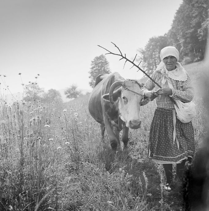 Ferdinand Bučina - fotografie