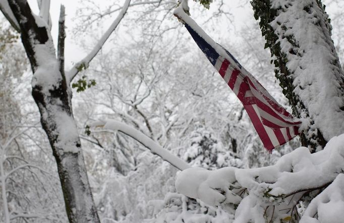 Americká vlajka visící mezi poničeným stromy, které pokryl sníh. Manhasset, New York