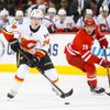 NHL: Calgary Flames vs Carolina Hurricanes (Hudler a Dwyer)