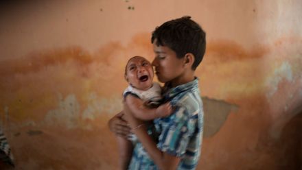 Marjanovič: Zika je příkladem společenské imunity před panickým strachem z pandemií