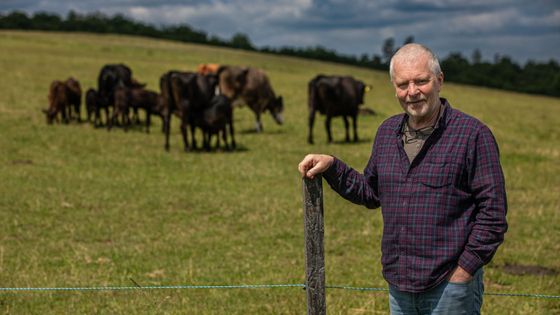 Z kravína vyrostl rodinný byznys. Farma Stehlík oživuje tradici a boduje lednicí