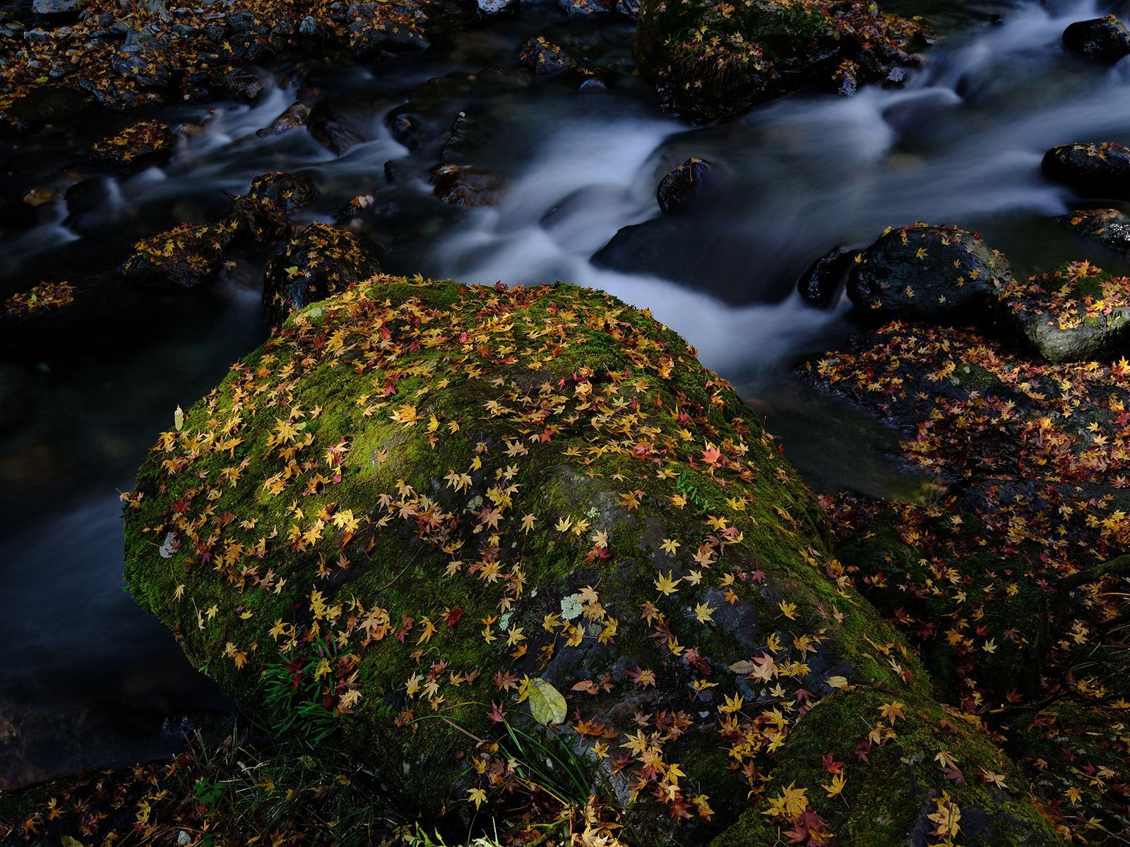 Novinky Fujifilm pro rok 2017