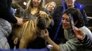 Fotografie z akce Westminster Kennel Club Dog Show, která se konala 11. 2. 2019 v New Yorku v USA.