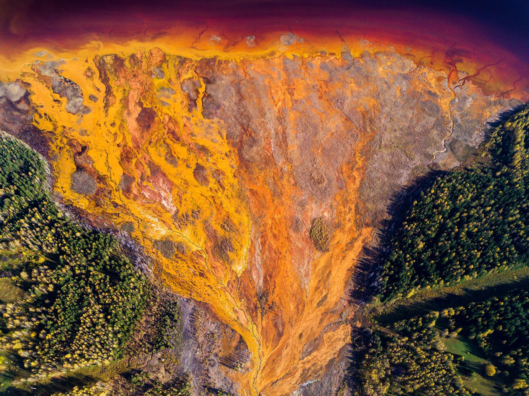 Nejlepší snímky přírody ze soutěže PA2F Environmental Photography Award