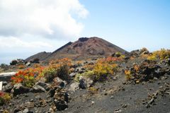 Na Kanárských ostrovech hrozí erupce sopky. Přístroje tam naměřily tisíce otřesů