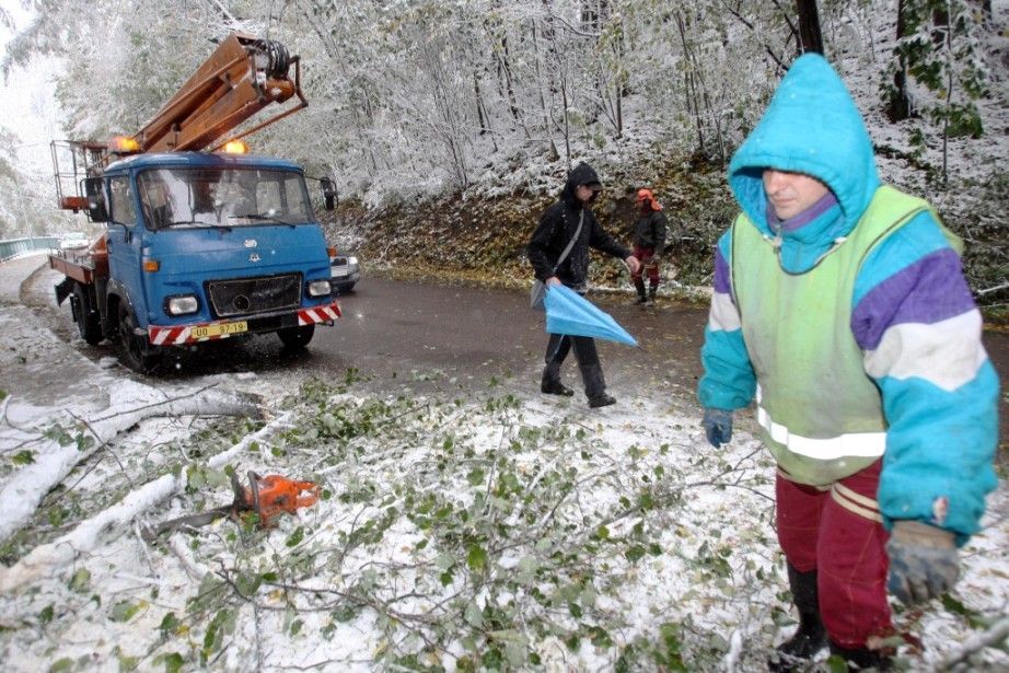 Kalamita v podhůří Orlických hor