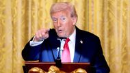Není neobvyklé, že úřadující prezident či první dáma modernizují Bílý dům, ale zdá se, že Donald Trump má s novým památníkem v plánu mnohem dalekosáhlejší projekt.