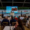 Bonhams aukce Zoute Sale 2023