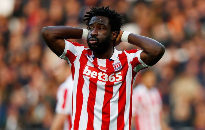 Stoke City: Wilfried Bony