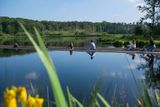 Stezka byla otevřena před pěti lety. Vedení rezervace chtělo rybníky přemostit, v soutěži ale vyhrál alternativní nápad. Ten se okamžitě stal jednou z hlavních atrakcí Belgie.