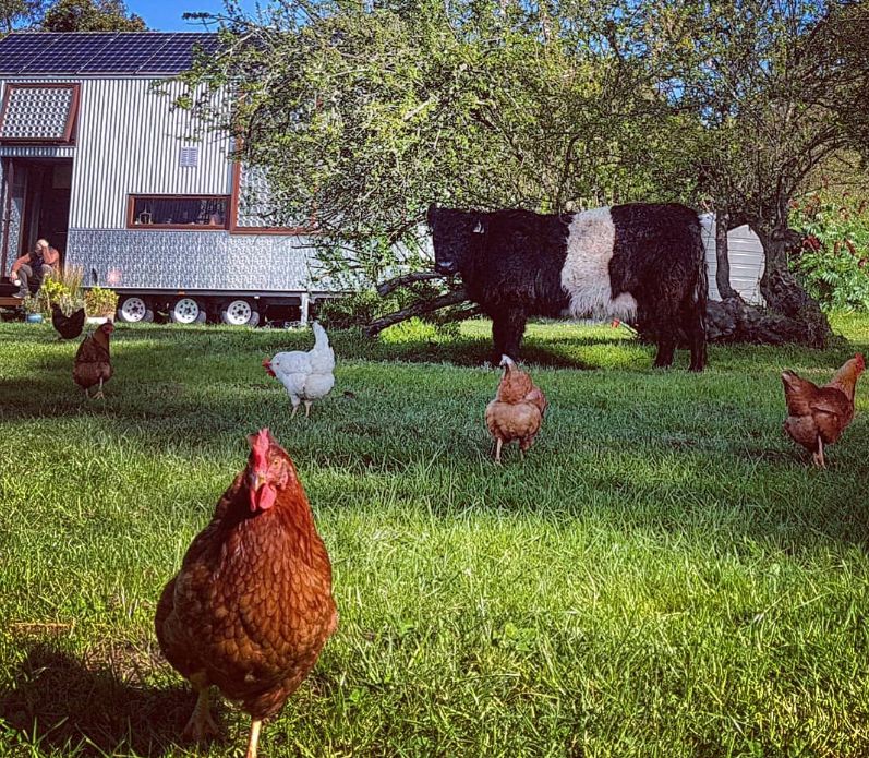 Tiny house Australia