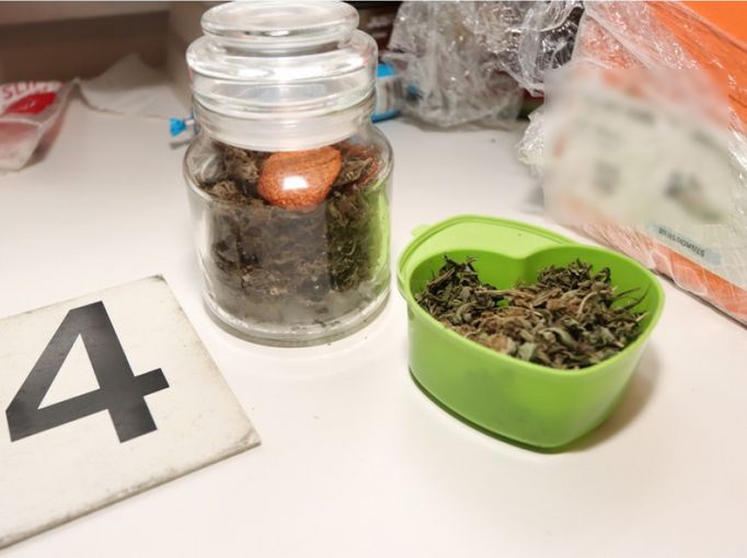 Moravskoslezští kriminalisté z toxi-týmu zasáhli proti výrobcům drog na Frýdecko-Místecku a Ostravsku. Během domovní prohlídky objevili i střelné zbraně.