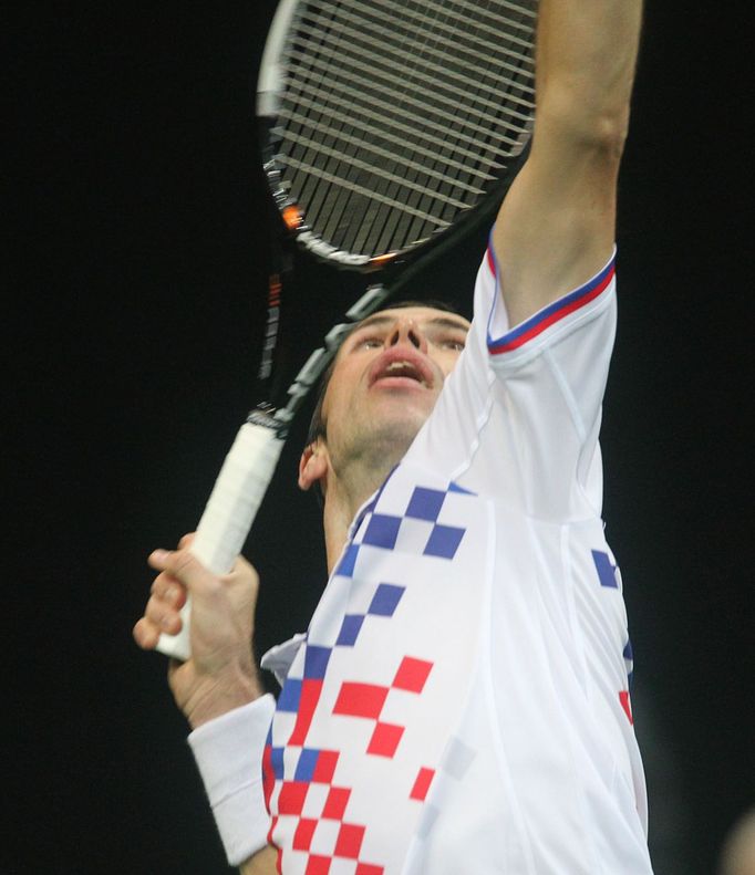 Finále Davis Cupu, zápas Radek Štěpánek - David Ferrer