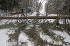 Část Česka zasáhla kalamita. Kvůli sněhu a popadaným stromům je řada silnic uzavřena