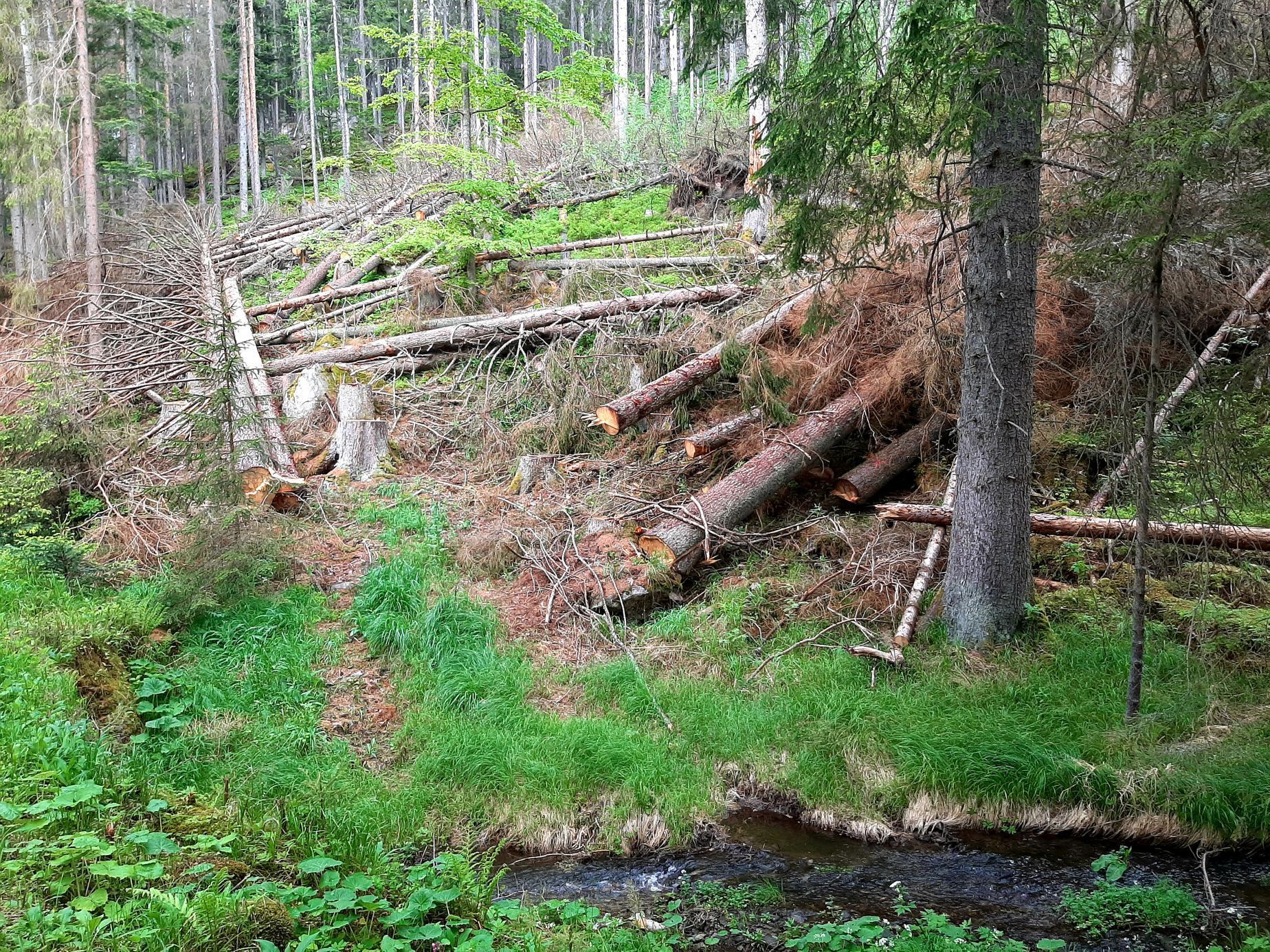 Povydří