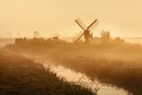 Zlatavé ráno – venkovská krajina v Severním Holandsku.
