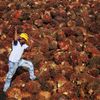 Fotogalerie / Produkce palmového oleje / Reuters