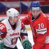Hokej, MS 2013, Česko - Slovinsko: Martin Hanzal - Aleš Mušič