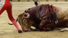 A bullfighter's assistant kills a bull during the first bullfight of the San Fermin festival in Pamplona July 7, 2012. REUTERS/Joseba Etxaburu (SPAIN - Tags: ANIMALS SOCIETY) Published: Čec. 7, 2012, 8:33 odp.