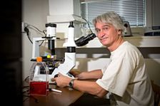 Další velký úspěch českého vědce. Parazitolog Julius Lukeš se stal členem Národní akademie věd USA