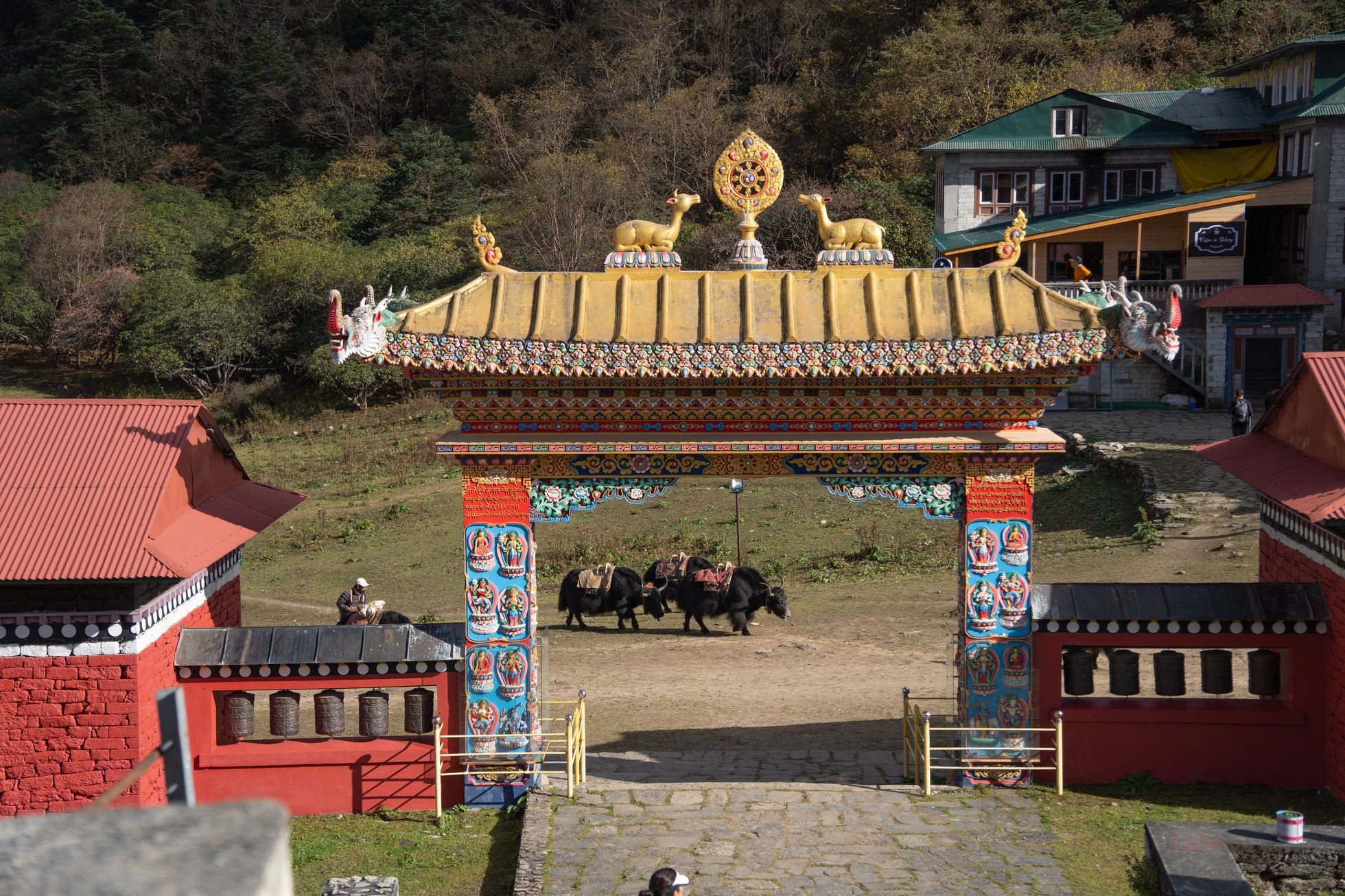 nový zéland cestování