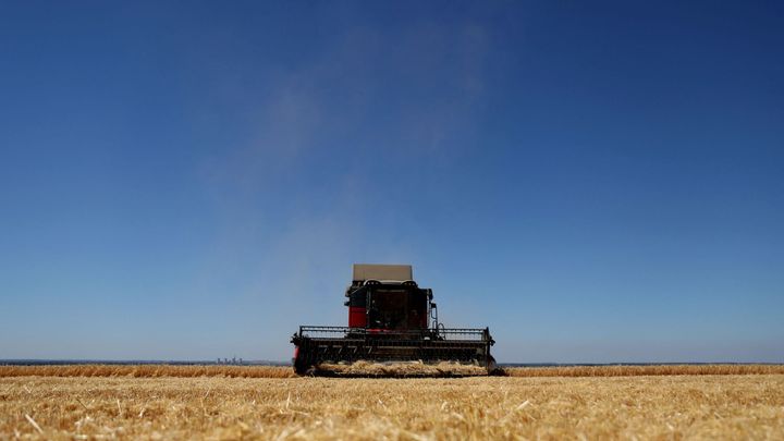 V Británii vyhodili úrodu ovoce a zeleniny za stovky milionů. Neměl ji kdo sklidit; Zdroj foto: Reuters