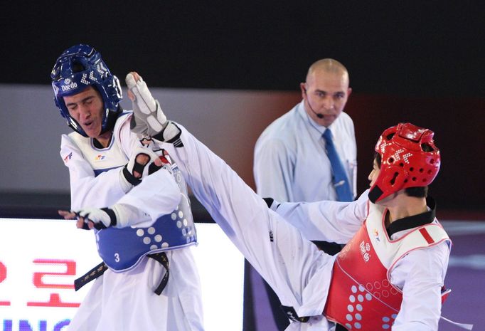 Taekwondisté na Grand Prix