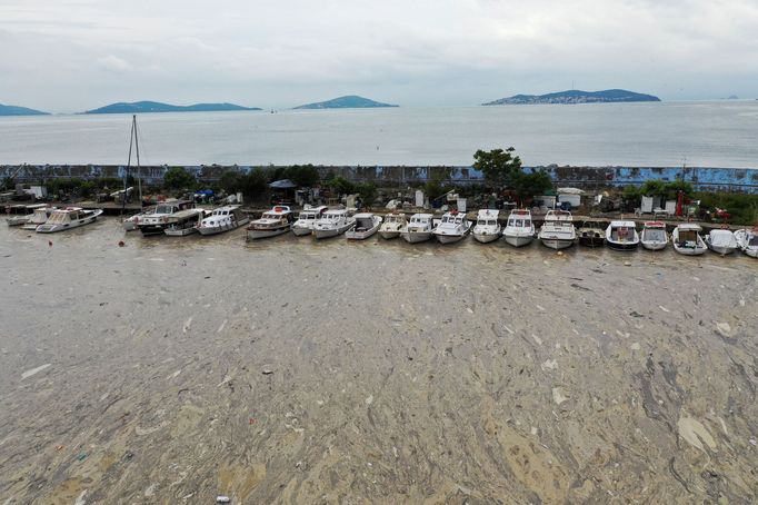 Istanbul a pobřeží Marmarského moře trápí sliz.