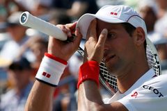 Srbové se v Davis Cupu musí zachránit bez Djokoviče