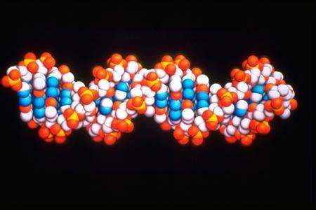 Molekula DNA.
