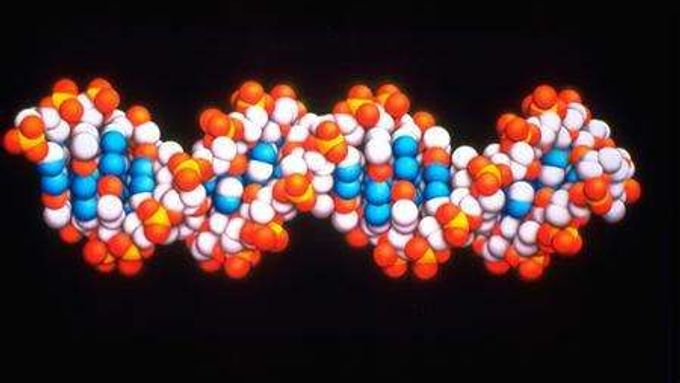 DNA - její chyby způsobují mnoho vážných onemocnění.