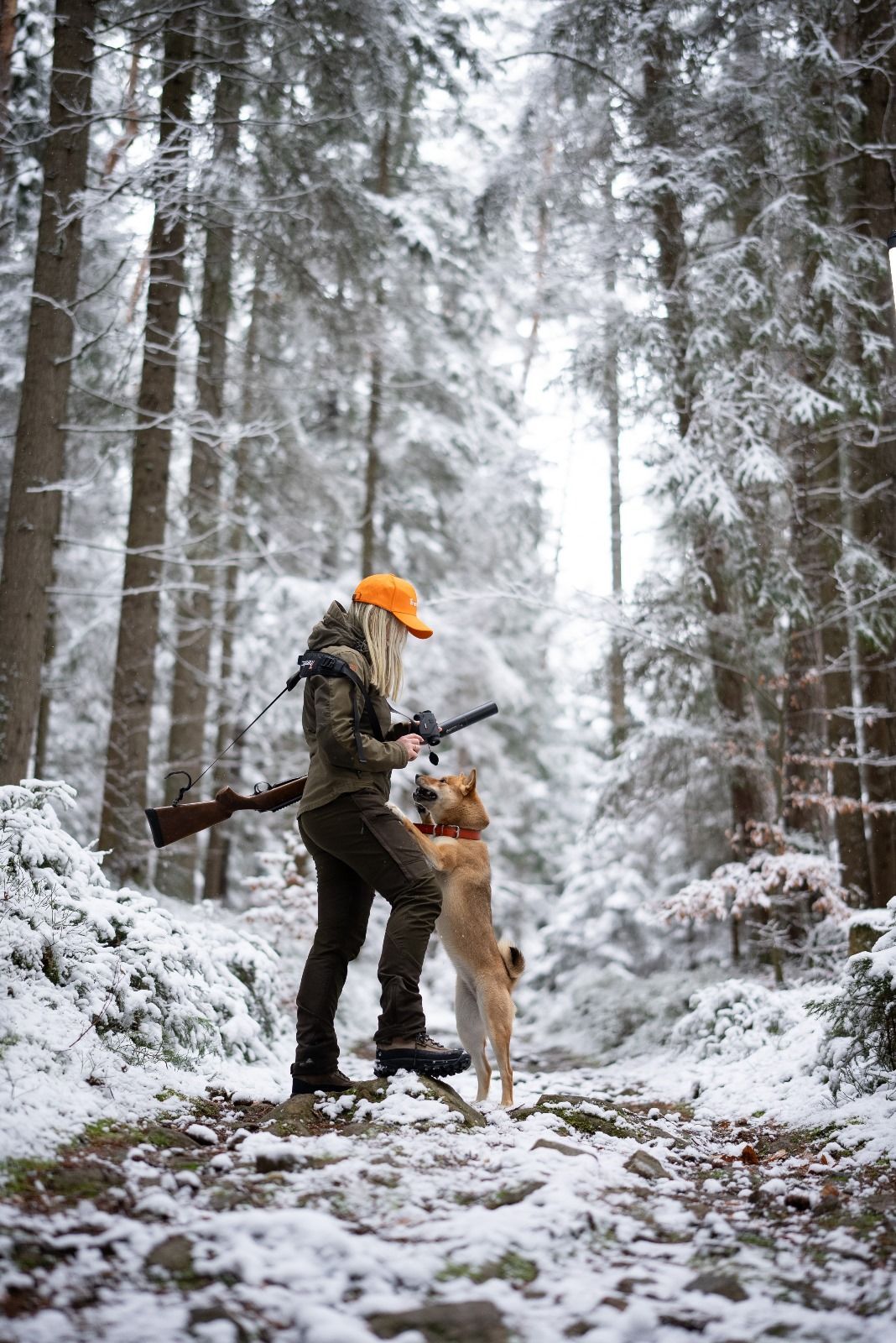 hajná, Šumava, příroda, lesnictví
