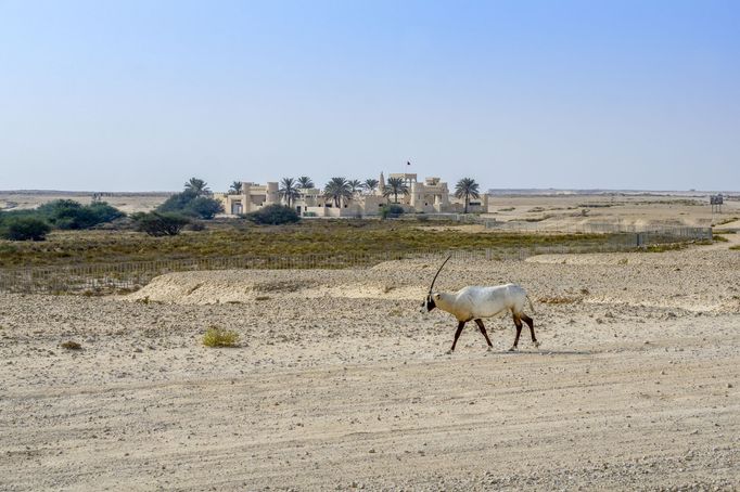 Vesnice v poušti Zekreet ležící přibližně 50 km od města Douhá v Kataru. Fotografie ze země, která v roce 2022 bude pořádat mistrovství světa ve fotbale.