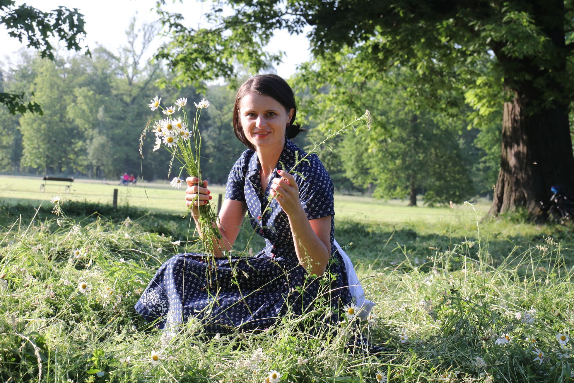 Speciálně vysázená louka