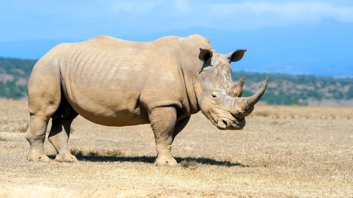 Lidé znečišťují přírodu jako nikdy předtím. Planeta bude jiná, varuje biolog