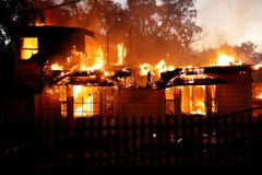 "Stromy hořely jako pochodně." Požáry v Kalifornii zničily 1500 domů, deset lidí zemřelo