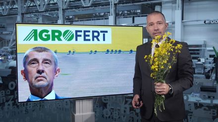 Česko je žluté a ještě dlouho bude. Zjistili jsme, proč řepka z polí jen tak nezmizí